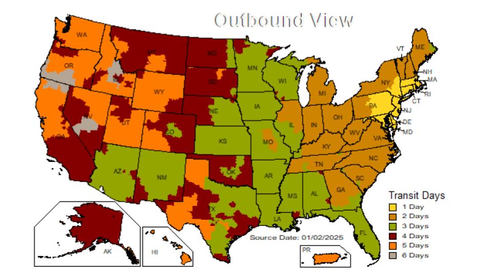 Bloodworms - Live Bait Must Read Description