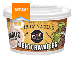 Live Bait Garlic Nightcrawlers / Store Pick Up Only