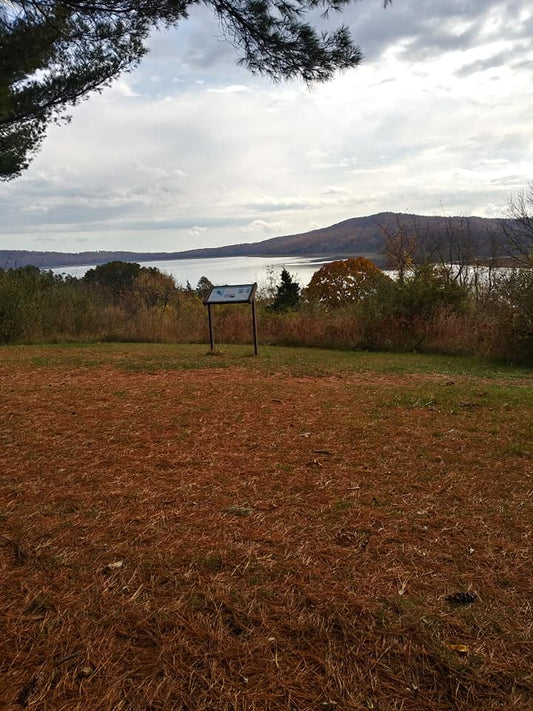 Fishing Report - 11/14/2023