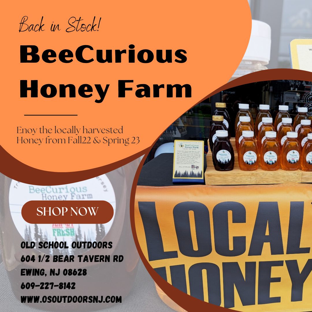 🍯🐝Back in Stock! BeeCurious Honey🐝🍯