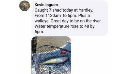 First Shad Reported Out by Kevin Ingram