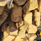 Firewood Bundles