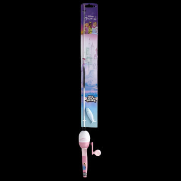 Disney Princess Kit