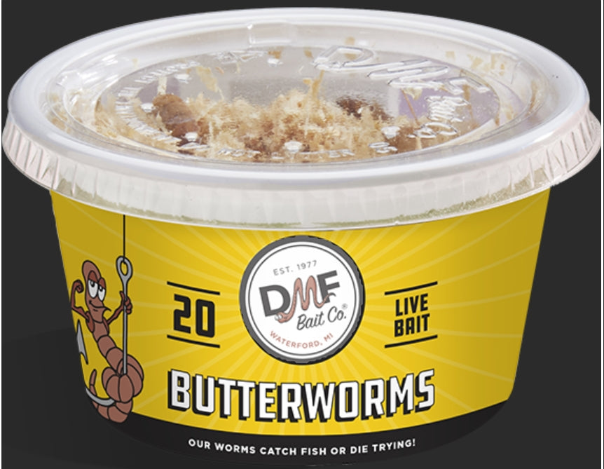 DMF Butter Worms