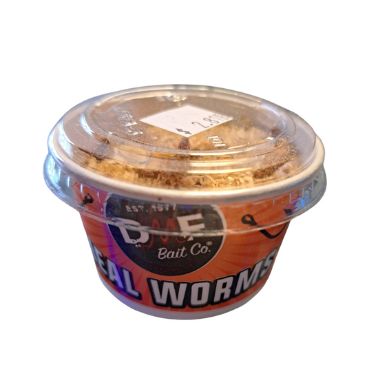 Live Bait Meal Worms / Store PIck Up Only