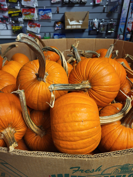 Pumpkins