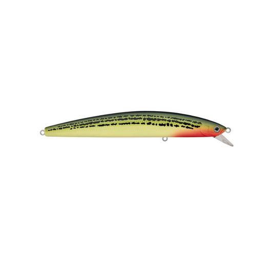 15F Salt Pro Minnow by Daiwa